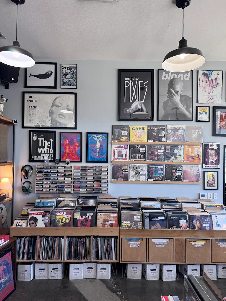 Record bins at Analog Record Shop