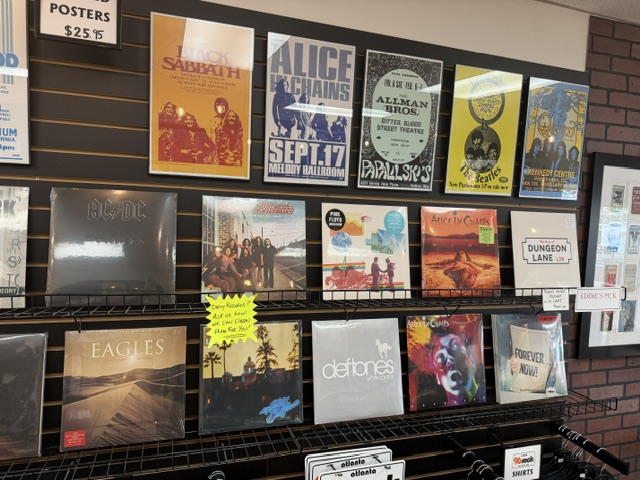 Rock displays at RocknShop