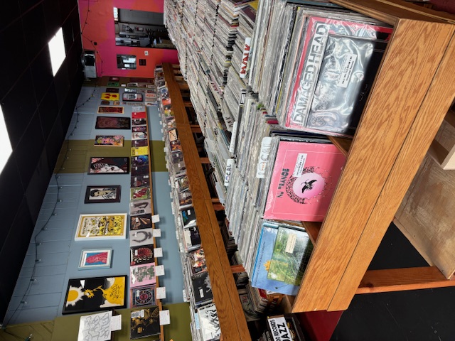 Bins at Tone Deaf Records