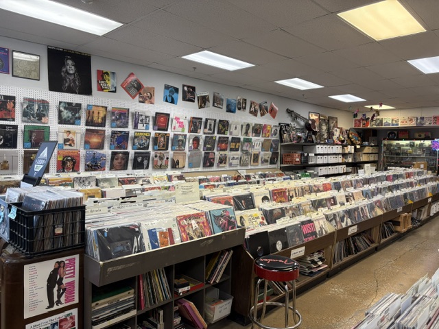 Record wall at Blue Village Vinyl