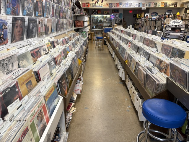 Used bins at Blue Village Vinyl