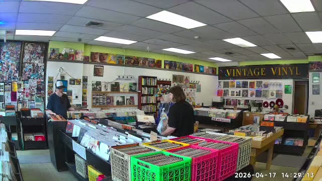 Record bins at Greenfield Records