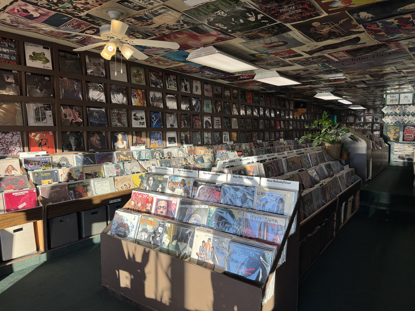 Record bins at Tracks In Wax Records