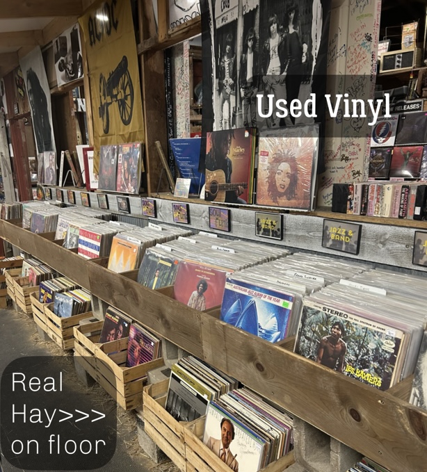 Used vinyl bins at Dig It Record Barn