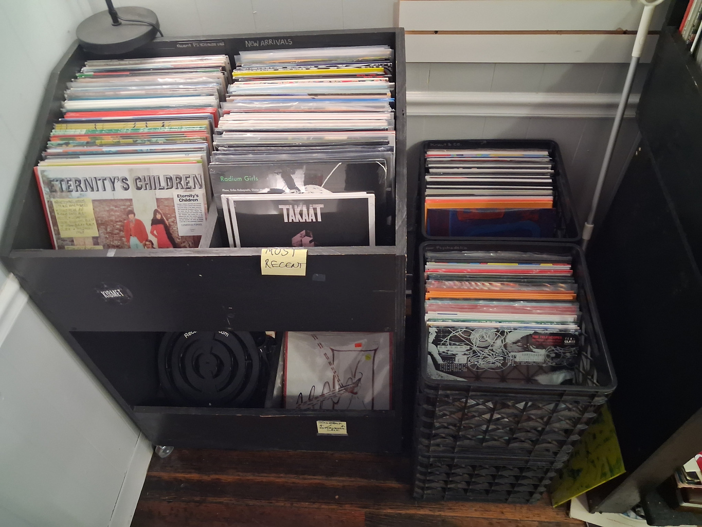 Recent arrivals at Kismet Creative Center
