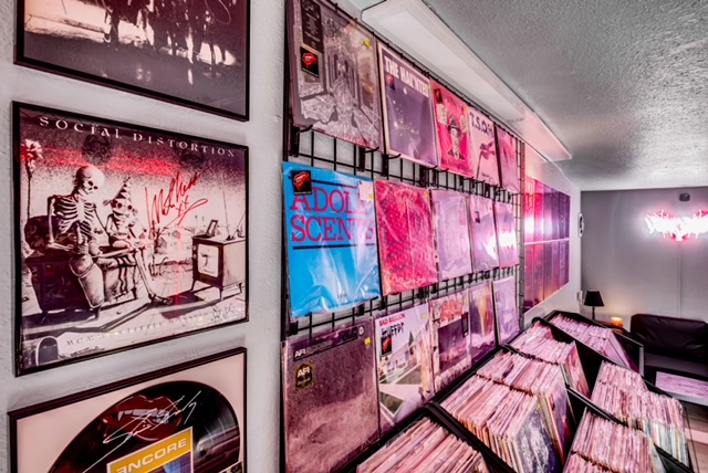 The punk, metal, and horror-focused bins at Vyle Vinyl.