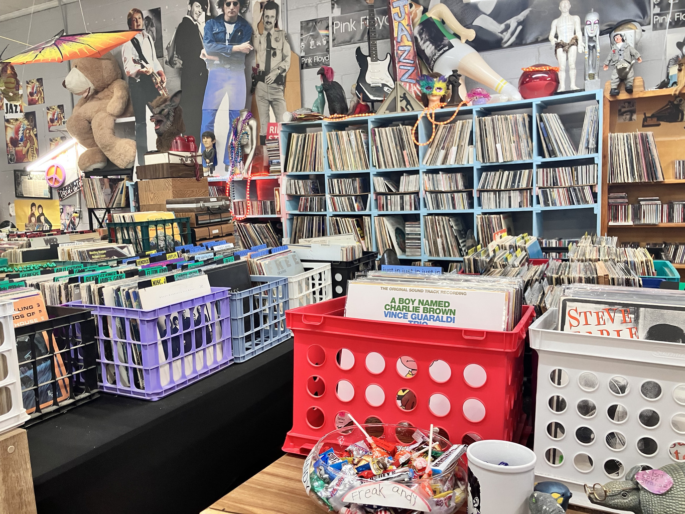 Record bins at Vinyl Revival