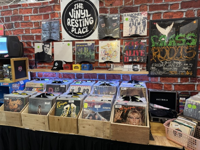 The Vinyl Resting Place LP bins