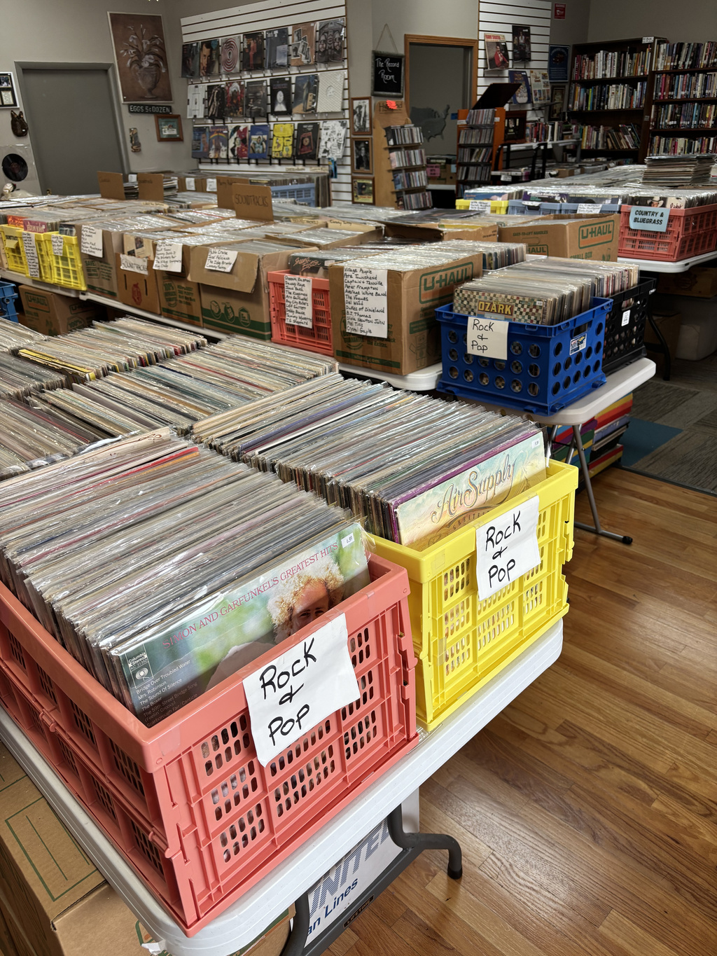 Record bins at Endless Treasures