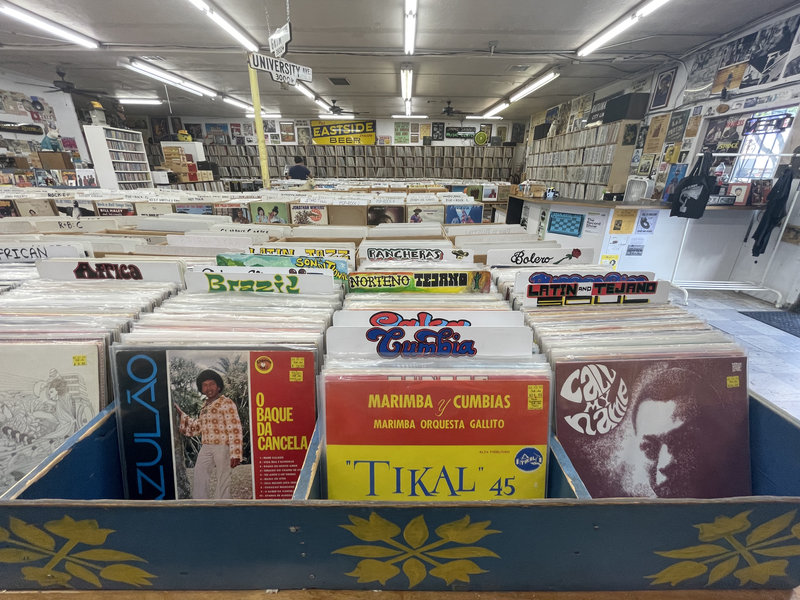 Record bins inside Folk Arts Rare Records