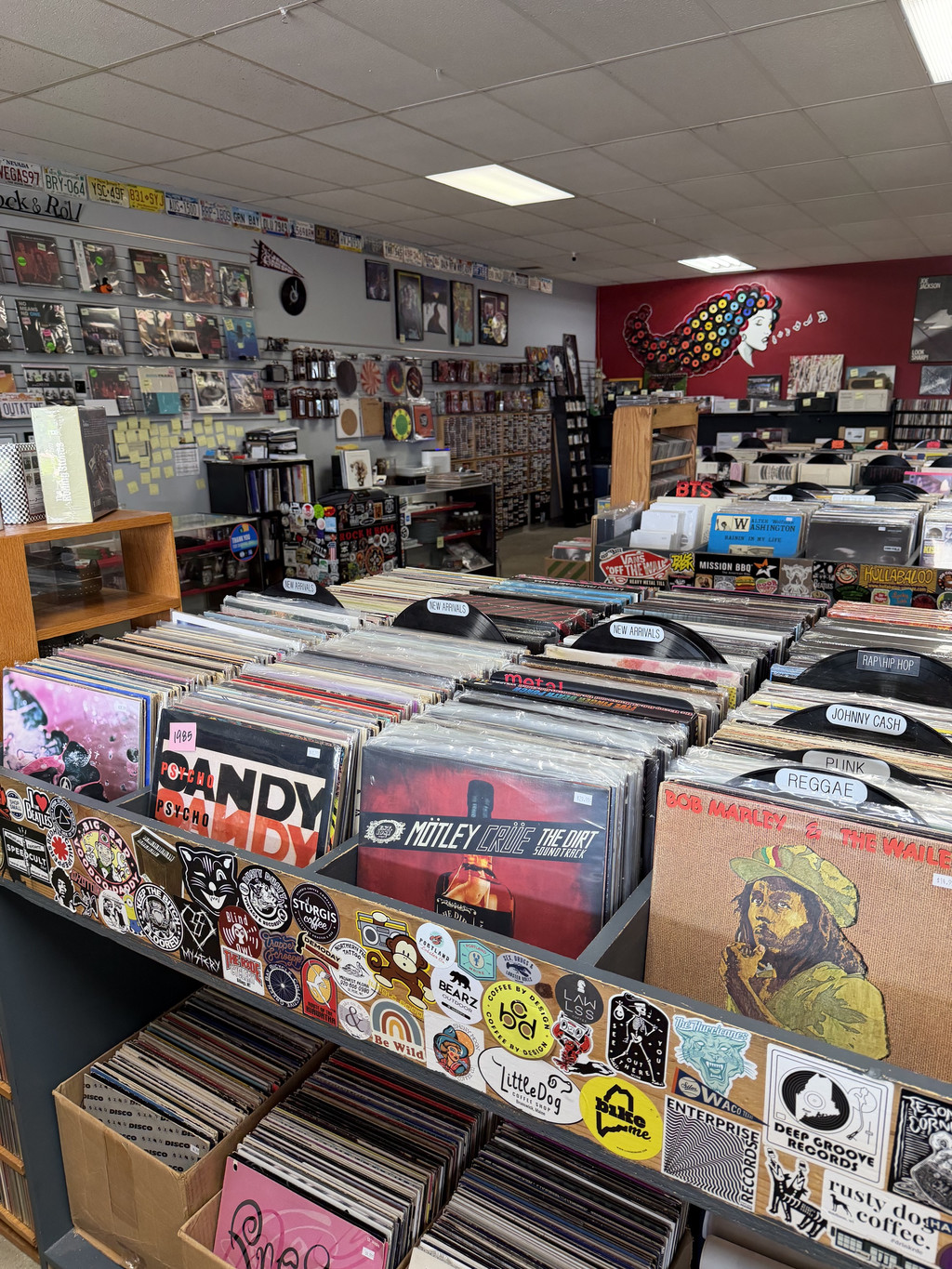 Record bins and wall displays inside Rock N' Roll Land